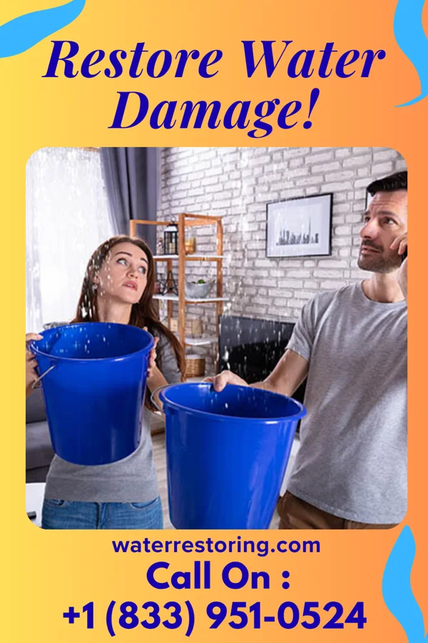 water restoration Solid Sewage Cleanup Experts Shellman
