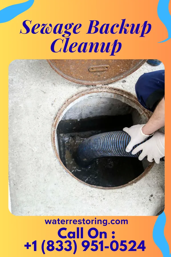 Sewage Backup Cleanup in Shellman, GA