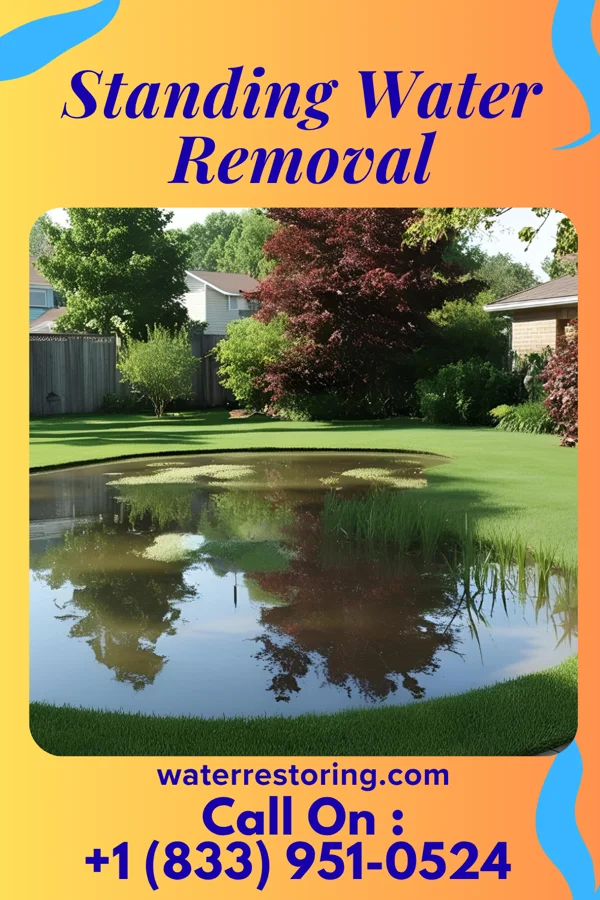 Standing Water Removal in Shellman, GA